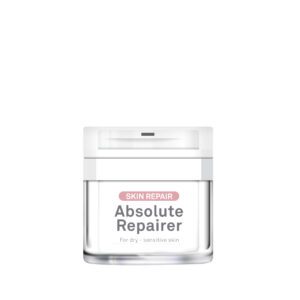 Absolute Repairer